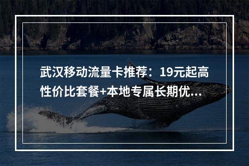 武汉移动流量卡推荐：19元起高性价比套餐+本地专属长期优惠
