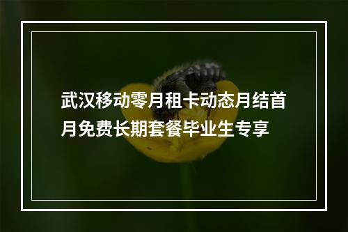 武汉移动零月租卡动态月结首月免费长期套餐毕业生专享