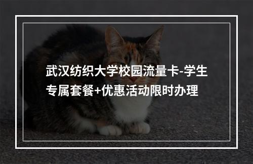 武汉纺织大学校园流量卡-学生专属套餐+优惠活动限时办理
