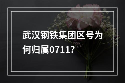 武汉钢铁集团区号为何归属0711？