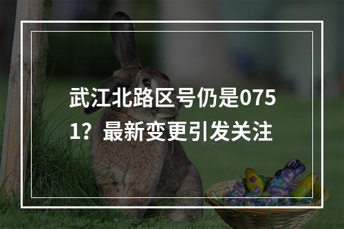 武江北路区号仍是0751？最新变更引发关注