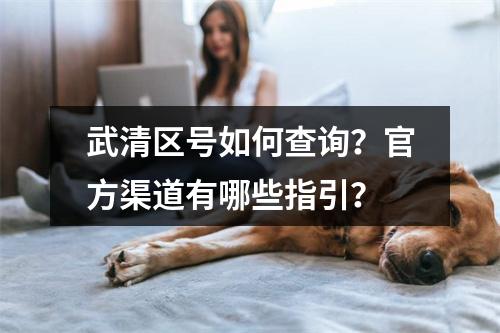 武清区号如何查询？官方渠道有哪些指引？