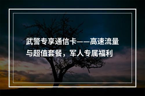 武警专享通信卡——高速流量与超值套餐，军人专属福利
