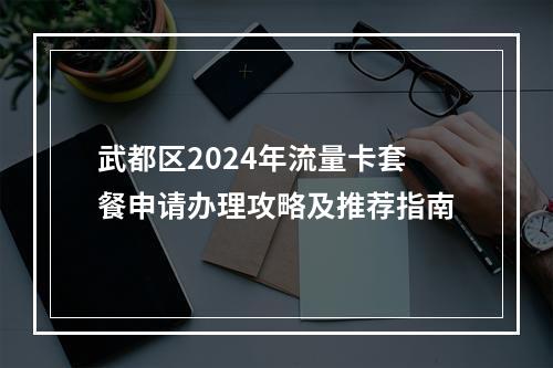 武都区2024年流量卡套餐申请办理攻略及推荐指南