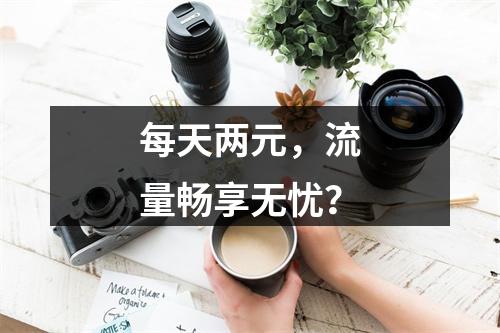 每天两元，流量畅享无忧？