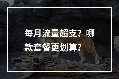每月流量超支？哪款套餐更划算？