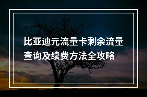 比亚迪元流量卡剩余流量查询及续费方法全攻略