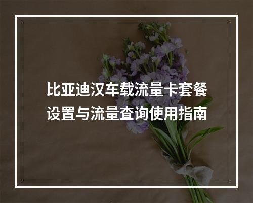 比亚迪汉车载流量卡套餐设置与流量查询使用指南