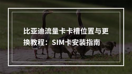 比亚迪流量卡卡槽位置与更换教程：SIM卡安装指南