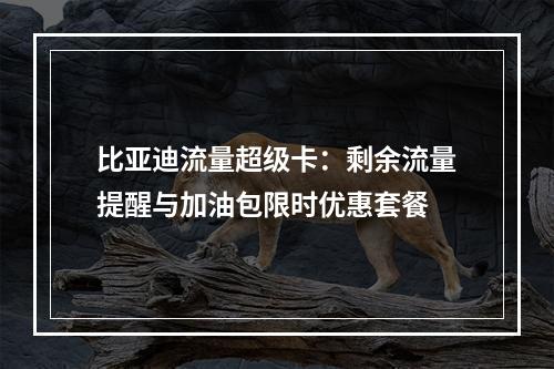 比亚迪流量超级卡：剩余流量提醒与加油包限时优惠套餐