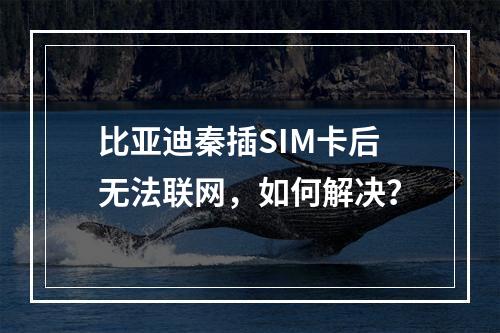 比亚迪秦插SIM卡后无法联网，如何解决？