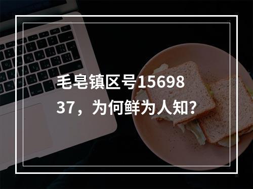 毛皂镇区号1569837，为何鲜为人知？