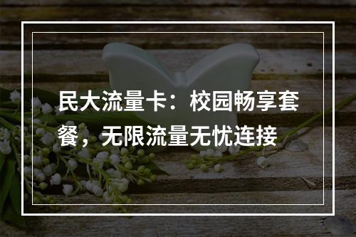 民大流量卡：校园畅享套餐，无限流量无忧连接