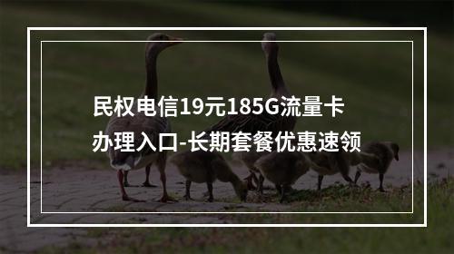 民权电信19元185G流量卡办理入口-长期套餐优惠速领