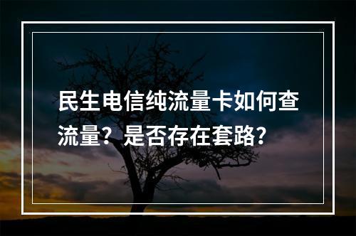 民生电信纯流量卡如何查流量？是否存在套路？