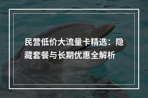 民营低价大流量卡精选：隐藏套餐与长期优惠全解析
