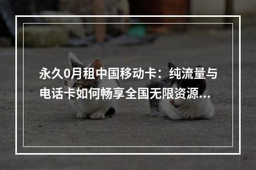 永久0月租中国移动卡：纯流量与电话卡如何畅享全国无限资源？