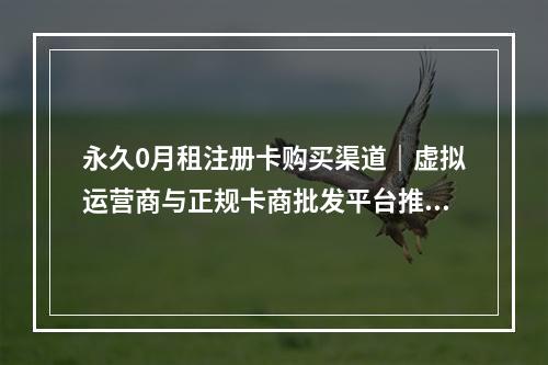 永久0月租注册卡购买渠道｜虚拟运营商与正规卡商批发平台推荐