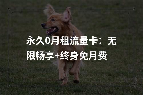 永久0月租流量卡：无限畅享+终身免月费