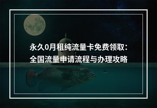 永久0月租纯流量卡免费领取：全国流量申请流程与办理攻略