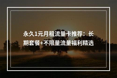 永久1元月租流量卡推荐：长期套餐+不限量流量福利精选