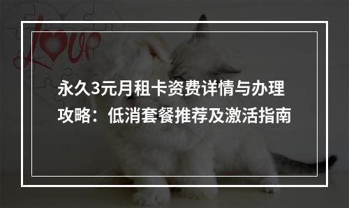 永久3元月租卡资费详情与办理攻略：低消套餐推荐及激活指南