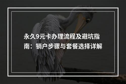 永久9元卡办理流程及避坑指南：销户步骤与套餐选择详解