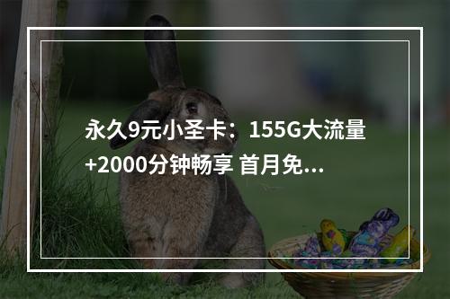 永久9元小圣卡：155G大流量+2000分钟畅享 首月免租