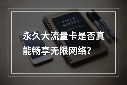永久大流量卡是否真能畅享无限网络？