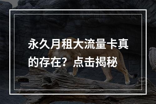 永久月租大流量卡真的存在？点击揭秘