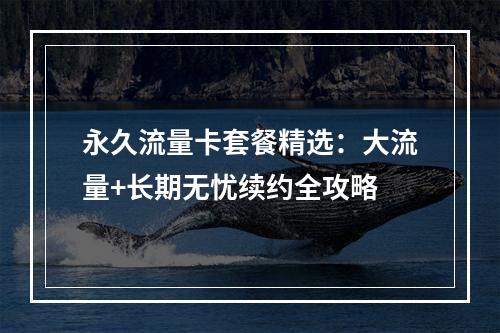 永久流量卡套餐精选：大流量+长期无忧续约全攻略