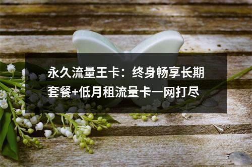 永久流量王卡：终身畅享长期套餐+低月租流量卡一网打尽