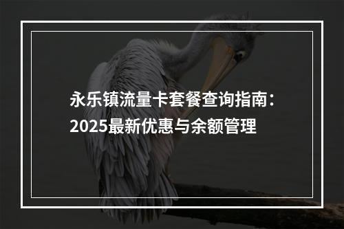 永乐镇流量卡套餐查询指南：2025最新优惠与余额管理