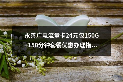 永善广电流量卡24元包150G+150分钟套餐优惠办理指南