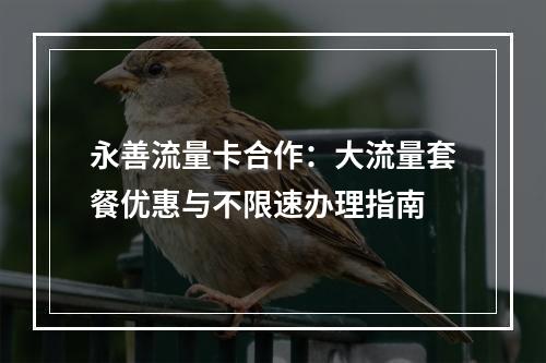 永善流量卡合作：大流量套餐优惠与不限速办理指南