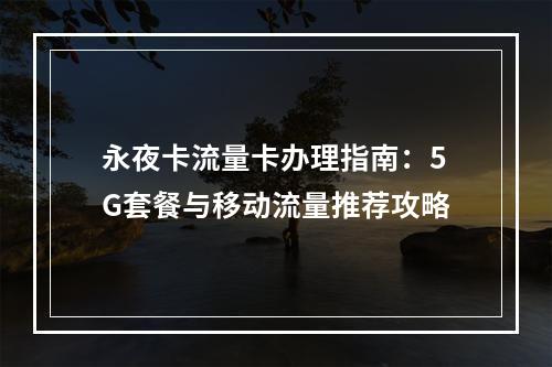 永夜卡流量卡办理指南：5G套餐与移动流量推荐攻略