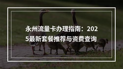 永州流量卡办理指南：2025最新套餐推荐与资费查询
