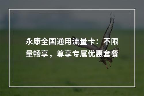 永康全国通用流量卡：不限量畅享，尊享专属优惠套餐