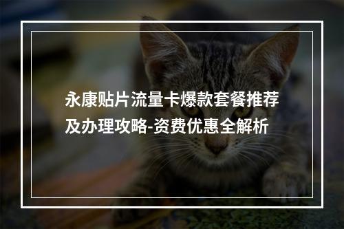 永康贴片流量卡爆款套餐推荐及办理攻略-资费优惠全解析