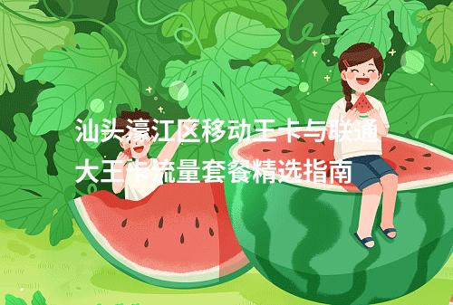 汕头濠江区移动王卡与联通大王卡流量套餐精选指南