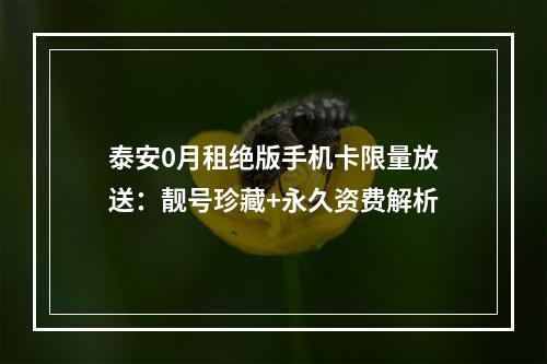 泰安0月租绝版手机卡限量放送：靓号珍藏+永久资费解析