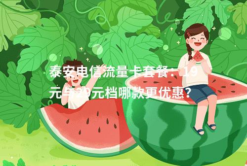 泰安电信流量卡套餐：19元与29元档哪款更优惠？
