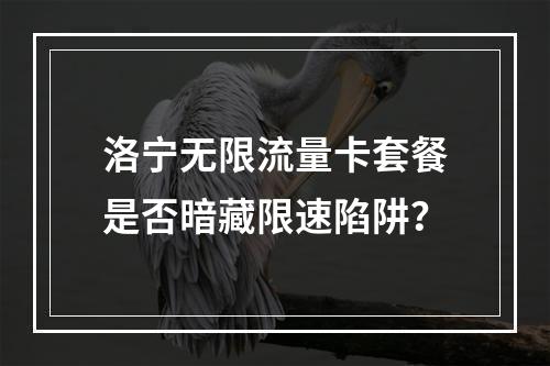 洛宁无限流量卡套餐是否暗藏限速陷阱？