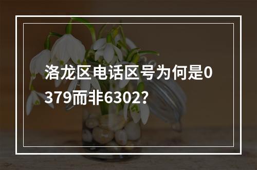 洛龙区电话区号为何是0379而非6302？