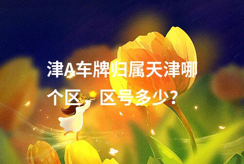 津A车牌归属天津哪个区，区号多少？