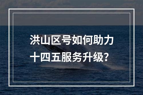 洪山区号如何助力十四五服务升级？