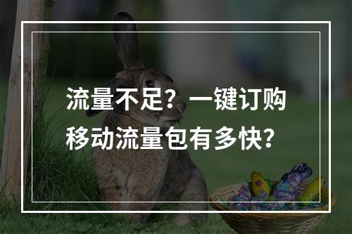 流量不足？一键订购移动流量包有多快？