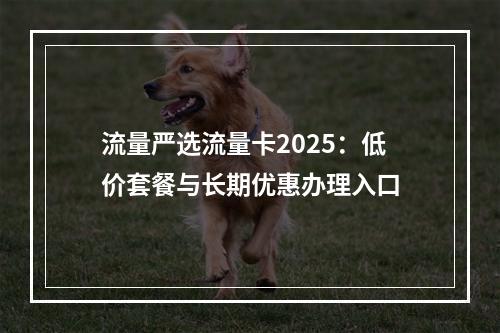 流量严选流量卡2025：低价套餐与长期优惠办理入口
