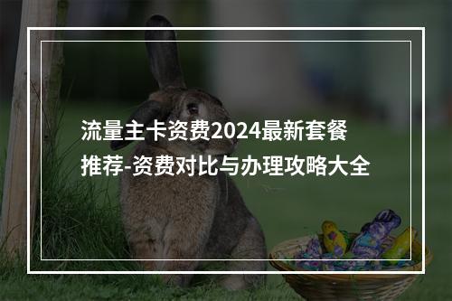 流量主卡资费2024最新套餐推荐-资费对比与办理攻略大全