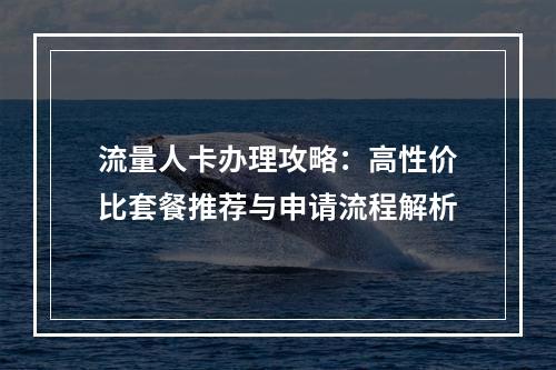 流量人卡办理攻略：高性价比套餐推荐与申请流程解析